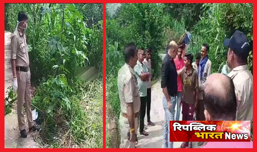 राह चलते व्यक्ति पर बेसहारा पशु ने किया हमला;एक की मौत, दूसरा घायल