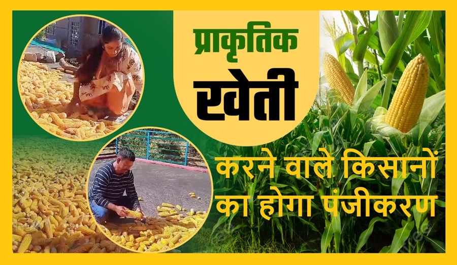 प्राकृतिक खेती करने वाले किसानों का होगा पंजीकरण 