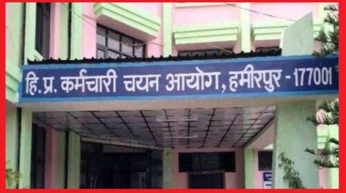 हिमाचल प्रदेश राज्य चयन आयोग ने प्रारंभिकशिक्षा विभाग में प्रशिक्षित स्नातक शिक्षक (टीजीटी) के 937 पदों के लिए भर्ती की अधिसूचना जारी