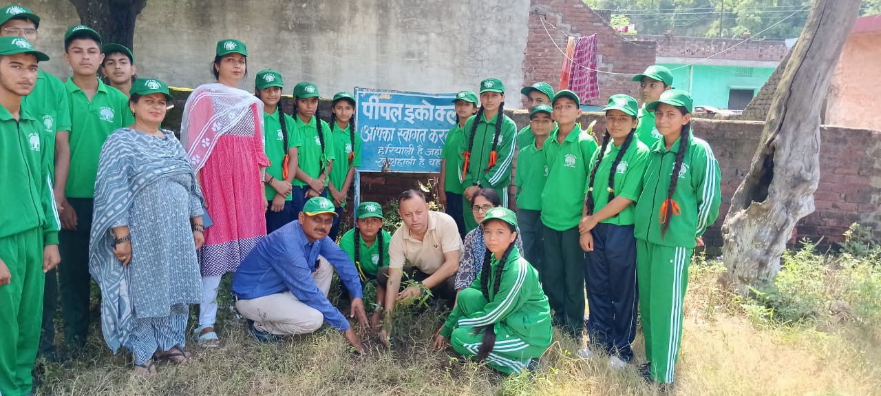 राजकीय वरिष्ठ माध्यमिक पाठशाला हरिपुर खोल में पर्यावरण संरक्षण और मातृ सम्मान को समर्पित इको क्लब लाइव मिशन के अंतर्गत एक पेड़ मां के नाम अभियान का आयोजन