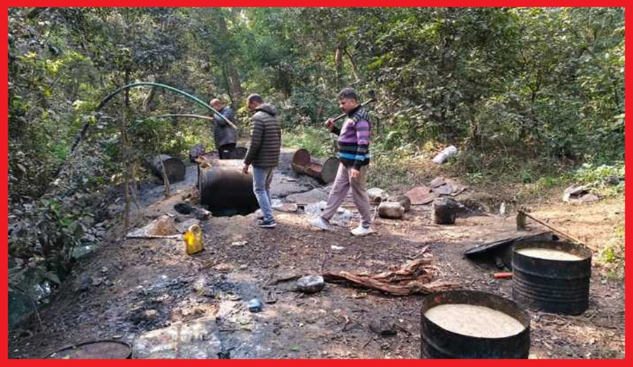 पांवटा साहिब के खारा के जंगलों में 2600 लीटर कच्ची शराब नष्ट