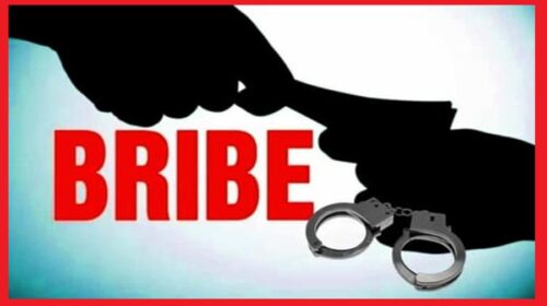 50 हजार रुपए की रिश्वत लेते फॉरेस्ट गार्ड रंगे हाथों गिरफ्तार