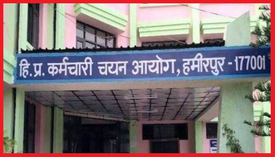 चपीआरसीए ने 530 पटवारी और स्टाफ नर्स के 312 पदों पर निकाली भर्ती, यहां करें ऑनलाइन आवेदन 