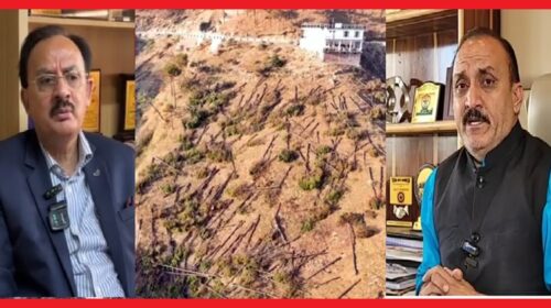  शिलाई में 20 पेड़ों के काटने की परमिशन पर काट डाले 300 से 400 पेड़; भाजपा और कांग्रेस आमने सामने  