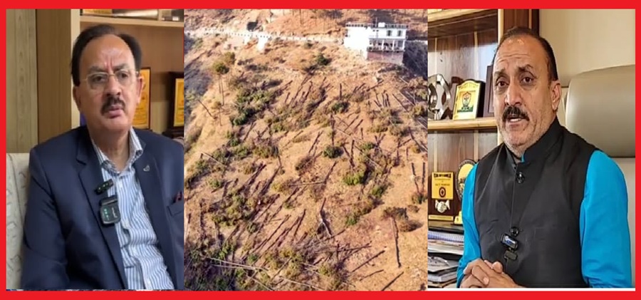  शिलाई में 20 पेड़ों के काटने की परमिशन पर काट डाले 300 से 400 पेड़; भाजपा और कांग्रेस आमने सामने  