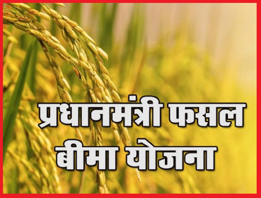 फसल बीमा योजना के तहत 15 अगस्त तक करवाएं बीमा
